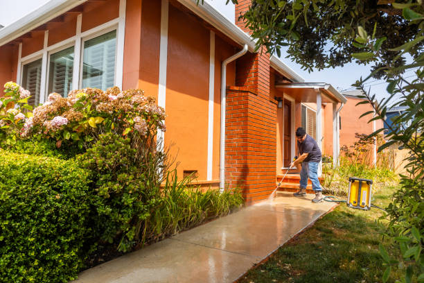 Best Roof Pressure Washing  in Plantation, FL